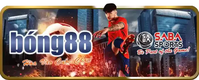 Chương Trình VIP cado888 casino