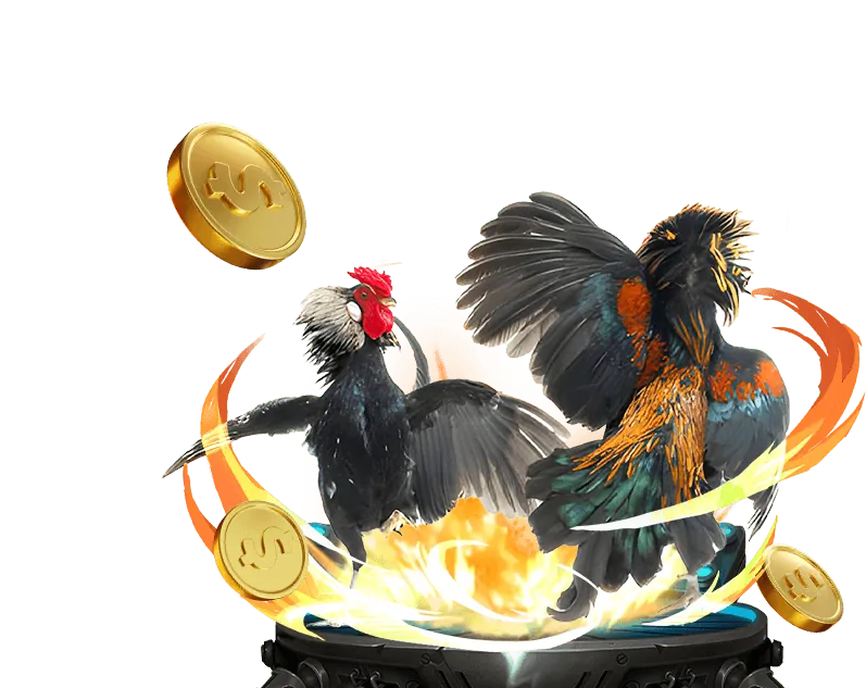 Chương trình VIP cado888 casino